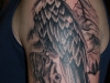 turtletattoo_misc-2