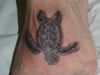 turtletattoo_misc-46